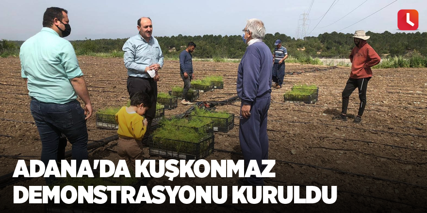 Adana'da kuşkonmaz demonstrasyonu kuruldu