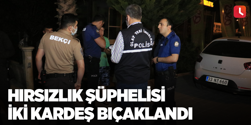 Hırsızlık şüphelisi iki kardeş bıçaklandı