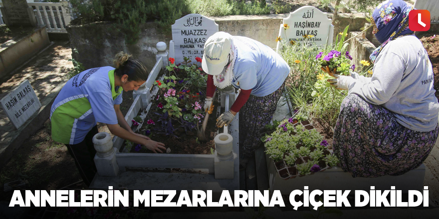 Annelerin mezarlarına çiçek dikildi