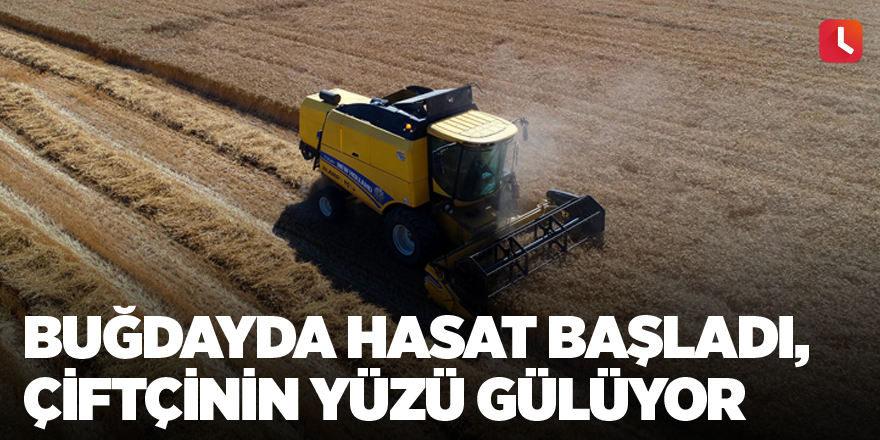 Buğdayda hasat başladı, çiftçinin yüzü gülüyor