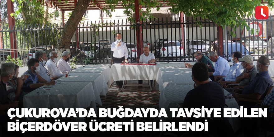 Çukurova’da buğdayda tavsiye edilen biçerdöver ücreti belirlendi