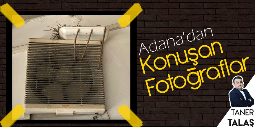 Günün fotoğrafı: Kebapçı ve kuşun dostluğu