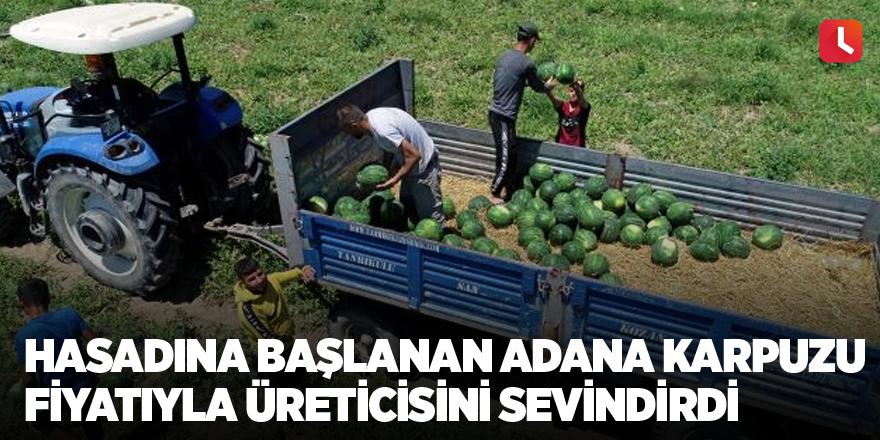 Hasadına başlanan Adana karpuzu fiyatıyla üreticisini sevindirdi