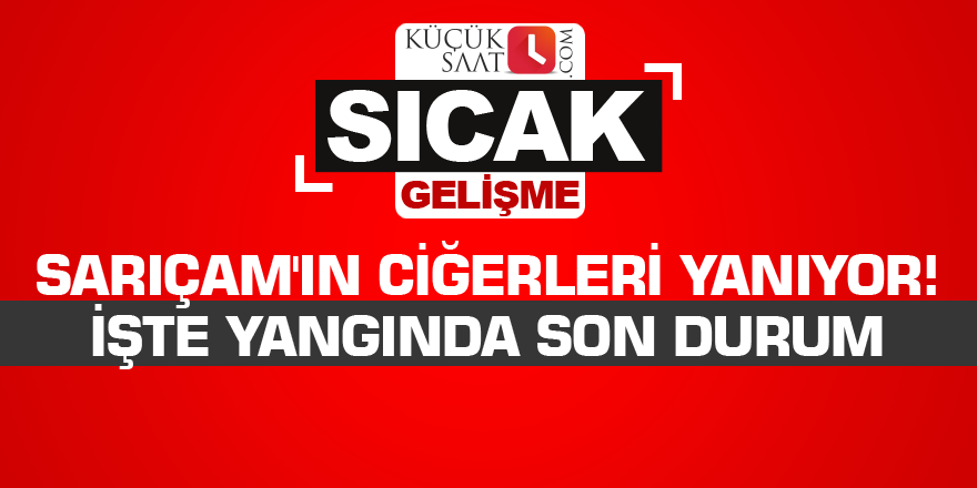 Sarıçam'ın ciğerleri yanıyor! İşte yangında son durum