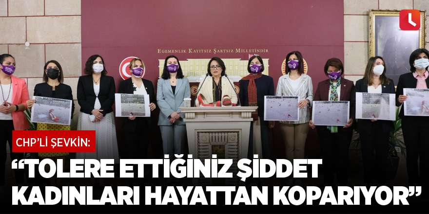 “Tolere ettiğiniz şiddet kadınları hayattan koparıyor”