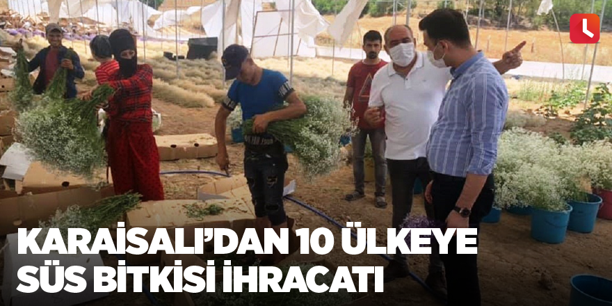 Karaisalı’dan 10 ülkeye süs bitkisi ihracatı