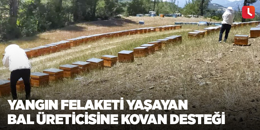 Yangın felaketi yaşayan bal üreticisine kovan desteği