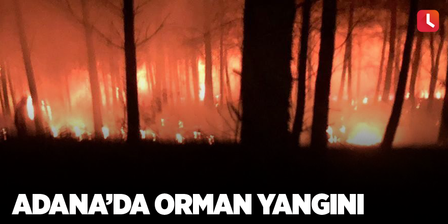 Adana’da orman yangını