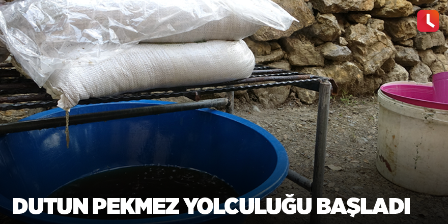 Dutun pekmez yolculuğu başladı