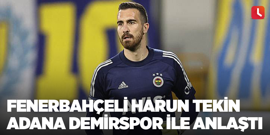 Fenerbahçeli Harun Tekin Adana Demirspor ile anlaştı