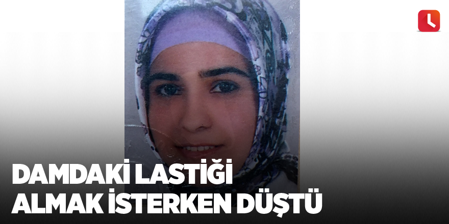 Damdaki lastiği almak isterken düştü