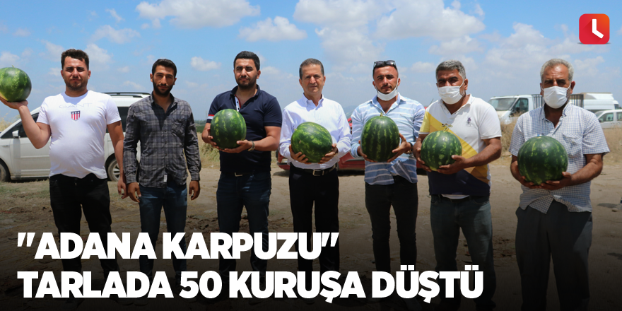 "Adana karpuzu" tarlada 50 kuruşa düştü