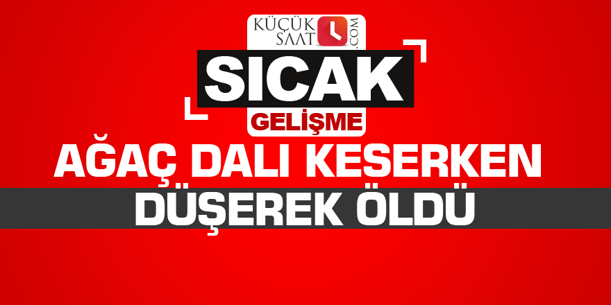 Ağaç dalı keserken düşerek öldü