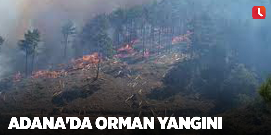 Adana'da orman yangını