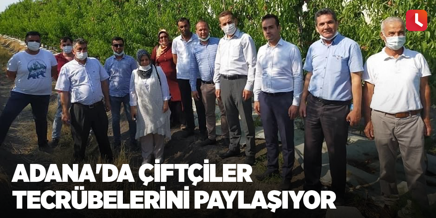 Adana'da çiftçiler tecrübelerini paylaşıyor