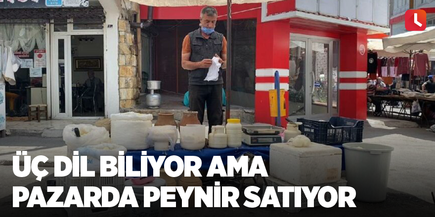 Üç dil biliyor ama pazarda peynir satıyor