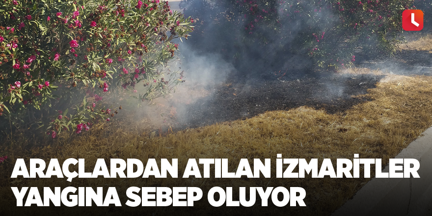 Araçlardan atılan izmaritler yangına sebep oluyor