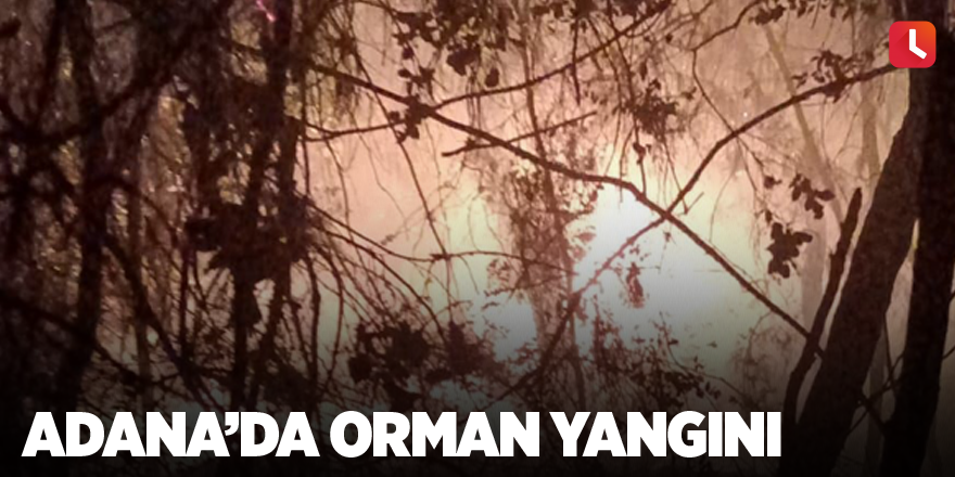 Adana’da orman yangını