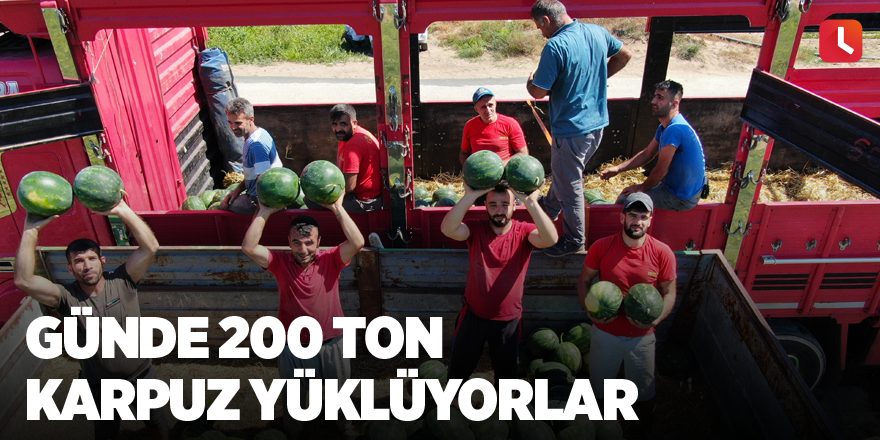 Günde 200 ton karpuz yüklüyorlar