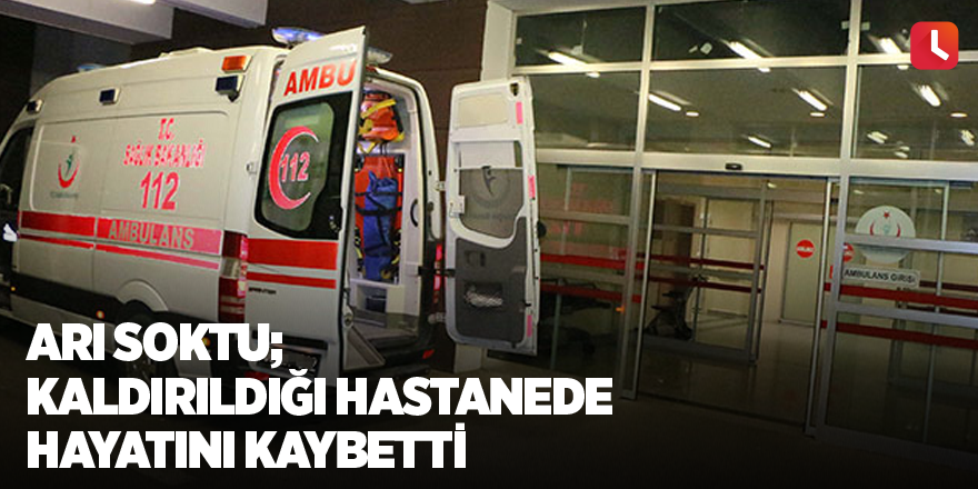 Arı soktu; kaldırıldığı hastanede hayatını kaybetti