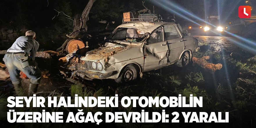 Seyir halindeki otomobilin üzerine ağaç devrildi: 2 yaralı