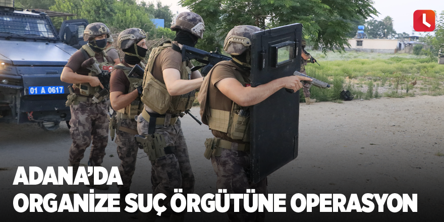 Adana’da organize suç örgütüne operasyon