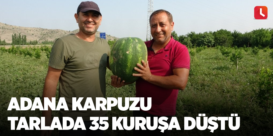 Adana karpuzu tarlada 35 kuruşa düştü