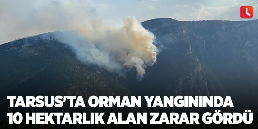 Tarsus'ta orman yangınında 10 hektarlık alan zarar gördü