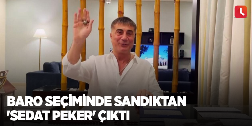 Baro seçiminde sandıktan 'Sedat Peker' çıktı