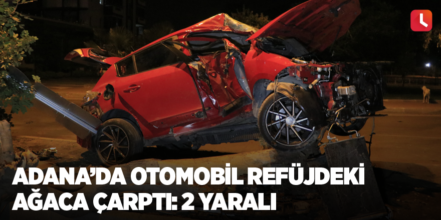 Adana’da otomobil refüjdeki ağaca çarptı: 2 yaralı