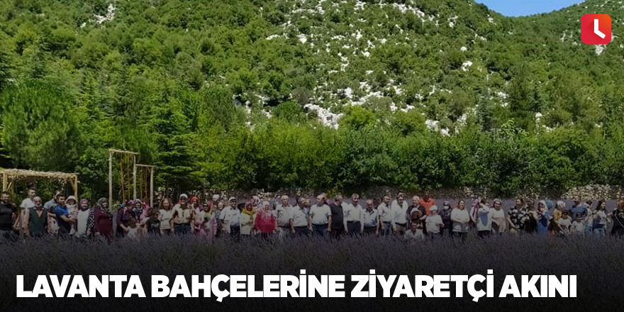 Lavanta bahçelerine ziyaretçi akını