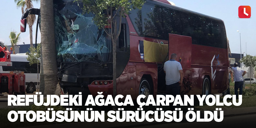 Refüjdeki ağaca çarpan yolcu otobüsünün sürücüsü öldü