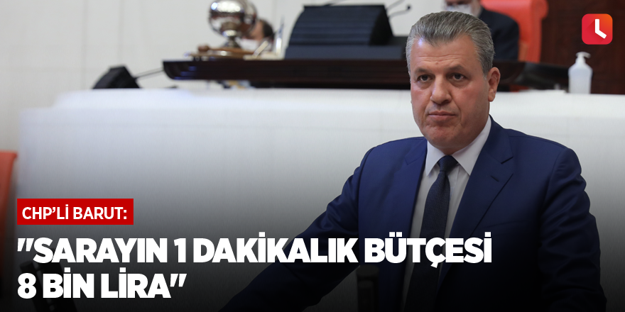 "Sarayın 1 dakikalık bütçesi 8 bin lira"