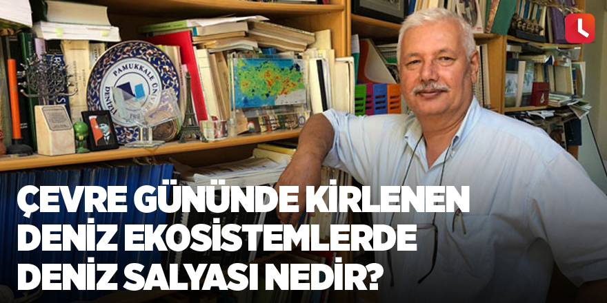 Çevre Gününde Kirlenen Deniz Ekosistemlerde Deniz Salyası Nedir?