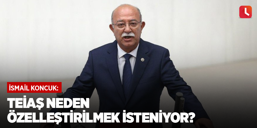 TEİAŞ neden özelleştirilmek isteniyor?