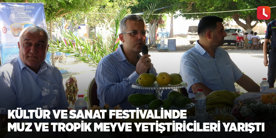 Kültür ve sanat festivalinde muz ve tropik meyve yetiştiricileri yarıştı