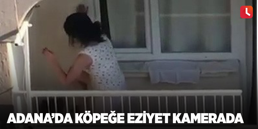 Adana’da köpeğe eziyet kamerada