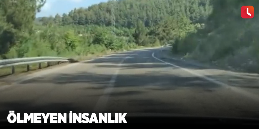 Ölmeyen insanlık