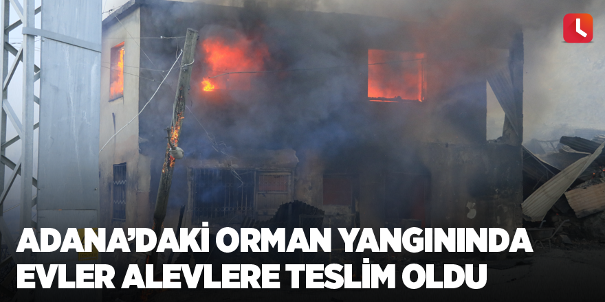 Adana’daki orman yangınında evler alevlere teslim oldu