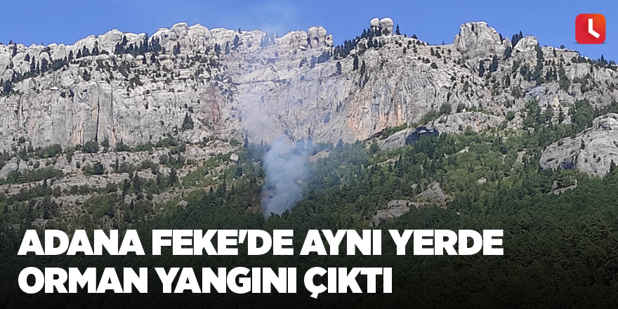 Adana Feke'de aynı yerde orman yangını çıktı