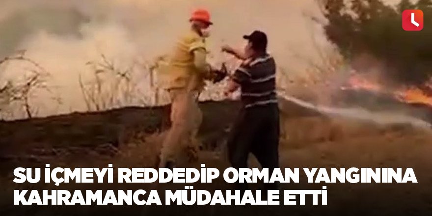 Su içmeyi reddedip orman yangınına kahramanca müdahale etti