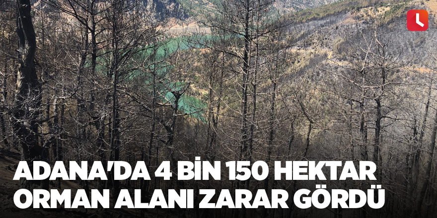 Adana'da 4 bin 150 hektar orman alanı zarar gördü