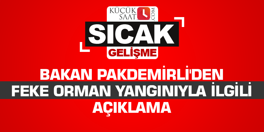 Bakan Pakdemirli'den Feke orman yangınıyla ilgili açıklama