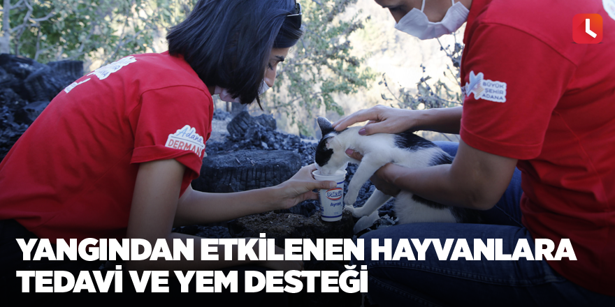 Yangından etkilenen hayvanlara tedavi ve yem desteği