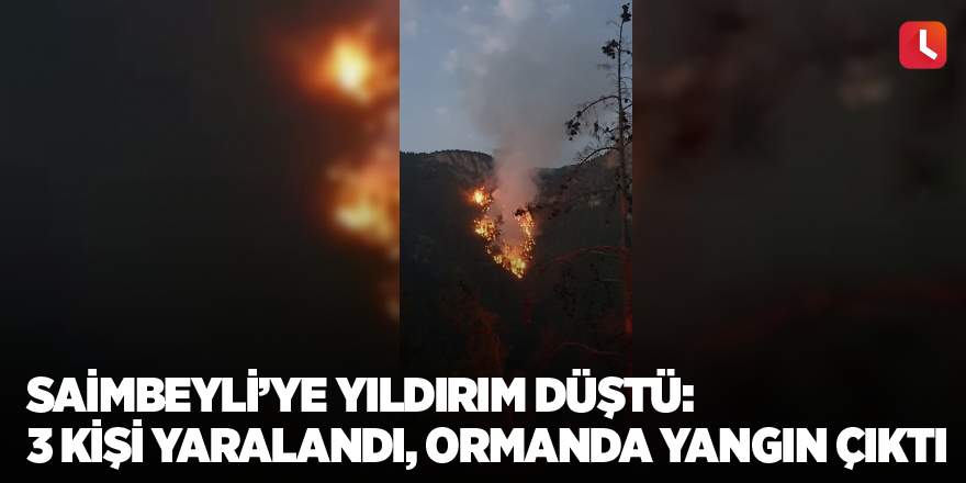 Saimbeyli’ye yıldırım düştü: 3 kişi yaralandı, ormanda yangın çıktı