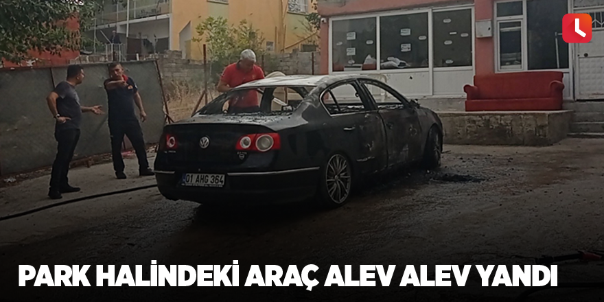 Park halindeki araç alev alev yandı