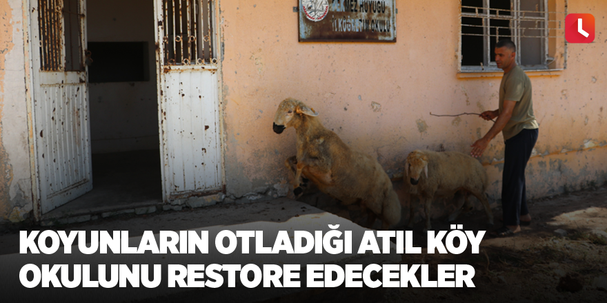 Koyunların otladığı atıl köy okulunu restore edecekler