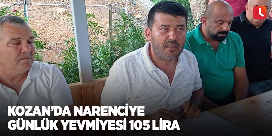 Kozan’da narenciye günlük yevmiyesi 105 lira