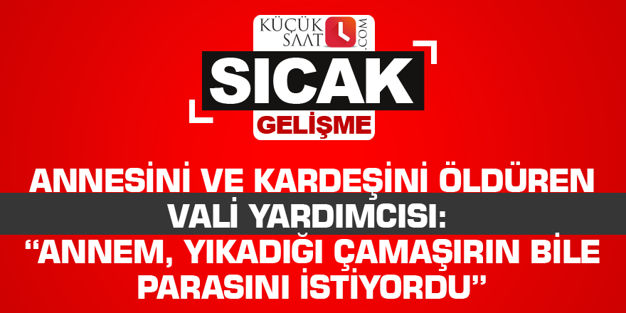 Annesini ve kardeşini öldüren vali yardımcısı: “Annem, yıkadığı çamaşırın bile parasını istiyordu”