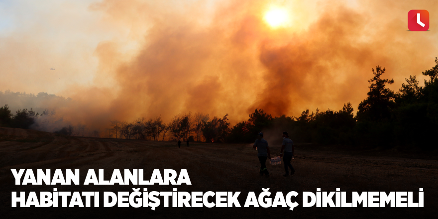 Yanan alanlara habitatı değiştirecek ağaç dikilmemeli